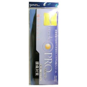 �C���\�[���v�������Y�i���ɑ΍�j L�摜����1