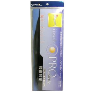 �C���\�[���v�������Y�i���ɑ΍�j M�摜����1