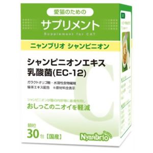 ニャンブリオシャンピニオン