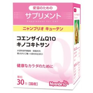 ニャンブリオキューテン