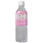 おいしい日田の水 一万年ロマン水 500ml×24本