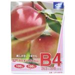 ラミネートフィルム B4判 100枚入