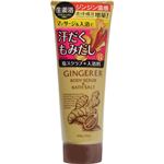 ジンジャラー ホットスクラブ 生姜浴 200g(入浴剤)