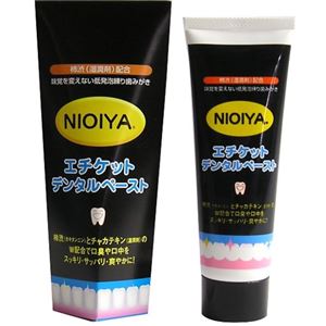 NIOIYA 柿渋配合 エチケット デンタルペースト 100g