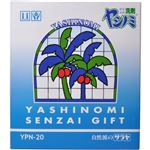 ヤシノミ洗剤ギフト YPN-20