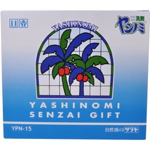 ヤシノミ洗剤ギフト YPN-15