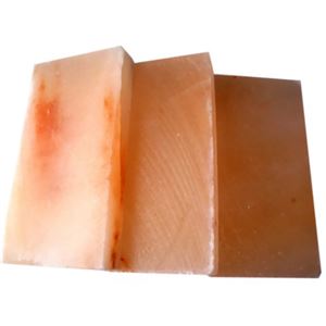 GANBAN 岩塩プレート Mサイズ 3枚セット