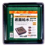 ジフィーガーデン 底面給水トレー 1枚