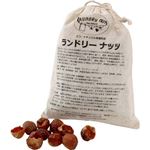 ランドリーナッツ レギュラー 250g