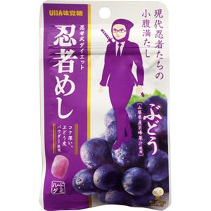 UHA味覚糖 忍者めし 山ぶどう味 20g×10個