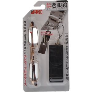 折り畳み老眼鏡2.5 (ストラップ付きケース付き)