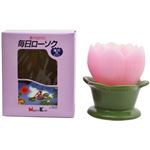 毎日ローソク 蓮花 M ピンク台付