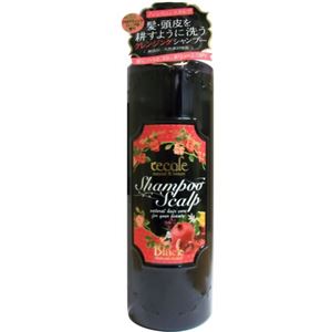 レコル ノンシリコンスカルプシャンプー ブラック 500ml