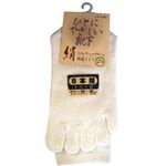 紳士シルク5本指ソックス 生成 24-26cm