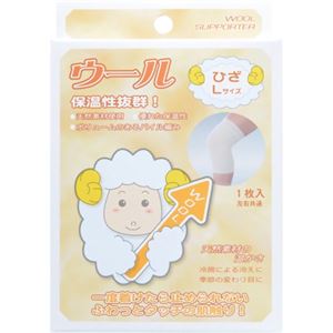 ウールサポーター 膝(ひざ)用 L