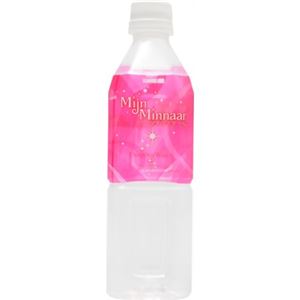 【ケース販売】マインミナール 海洋深層水 500ml×24本