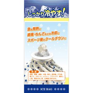 リーダー 氷のう 小さめサイズ 500ml