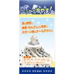 リーダー 氷のう 小さめサイズ 500ml