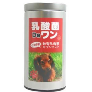 乳酸菌Daワン(犬用サプリメント) 1g×20包