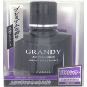 カーオール グランディーブラック プラチナシャワー 138ml