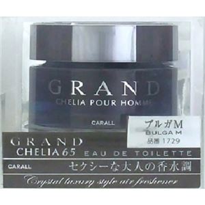 カーオール グランドシェリア65 ブルガM 60ml
