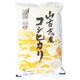新潟県山古志産コシヒカリ 5kg画像最小1