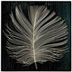 ユーパワー ウッドスカルプチャーアート フェザーA SA-15037 ブラック画像最小1