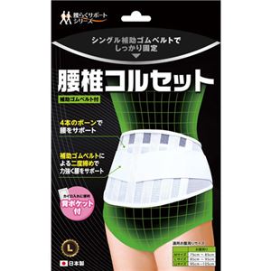 腰椎コルセット (シングルタイプ) L
