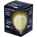 （まとめ買い）ヤーデン LED電球 白熱ボール球型 (G型) ES-600WE26-GO 電球色相当 E26口金 全光束500lm×2セット