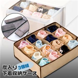 衣類ケース 炭入り 下着収納ケース 【3個組】 【押入れ収納】