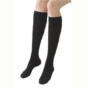 �y6���g�z�}�C�N���X���� 