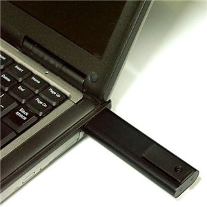 ダイレクトmirumiru(microSD 2G付き)