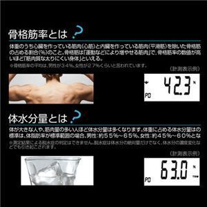 ̑gvwX[^[ Hakari BGO-05 y4Zbgz摜R