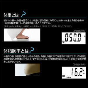 ̑gvwX[^[ Hakari BGO-05 y4Zbgz摜S