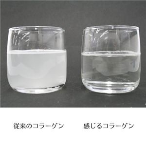感じるコラーゲン(大)