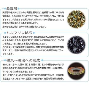 うきうき温泉(家庭用温泉器)