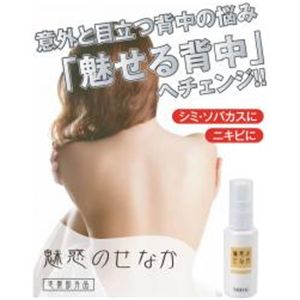 魅惑のせなか