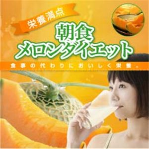 栄養満点 朝食メロンダイエット 【6個セット】