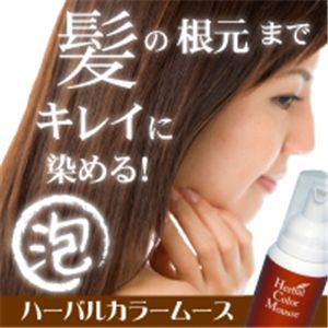�n�[�o���J���[���[�X