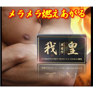 我皇（がおう）