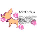 LOUISON�@�y���C�]���z�o�b�O/��������