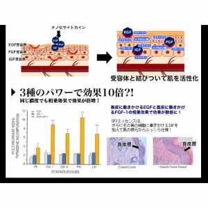 EGF・サイトカイン三種配合美容液 GFスリーエッセンス
