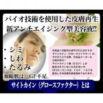 �Q�p�b�N�I�������łU�������ʁI�I�d�f�e���e�t�@�f�e�X���[�G�b�Z���X