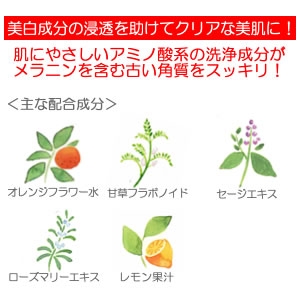 イオナ ヴェール ヴィーホワイト クリアウォッシュ