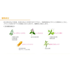 イオナ ヴェール ヴィーホワイト クリアウォーター ３本セット【ミニサイズ セット付き】