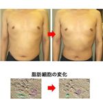 クリスタルディザイア プラチナム