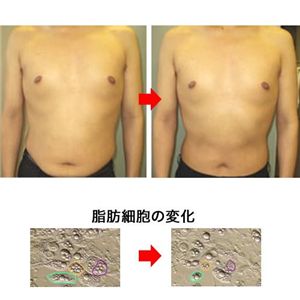 クリスタルディザイア　プラチナム