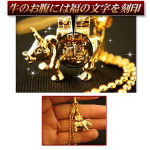 Xgbv摜Q