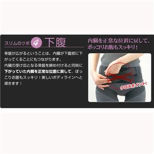 骨盤ベルト 4Xスタイルアップベルト画像２