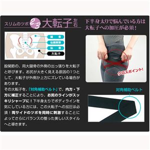 骨盤ベルト 4Xスタイルアップベルト画像３